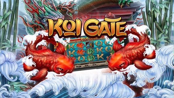 Koi Gate: Keberuntungan dan Transformasi Dunia Slot Habanero